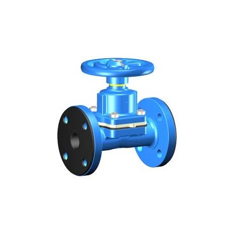 Rubber Diaphragms with PTFE Pad
