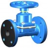 Rubber Diaphragms with PTFE Pad